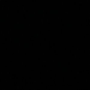 Meet your Posher, Maggie